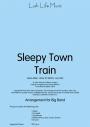 SLEEPY TOWN TRAIN