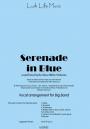 View: SERENADE IN BLUE