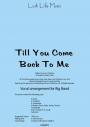 TILL YOU COME BACK TO ME