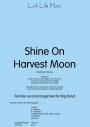 View: SHINE ON HARVEST MOON