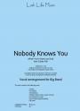 NOBODY KNOWS YOU WHEN YOU